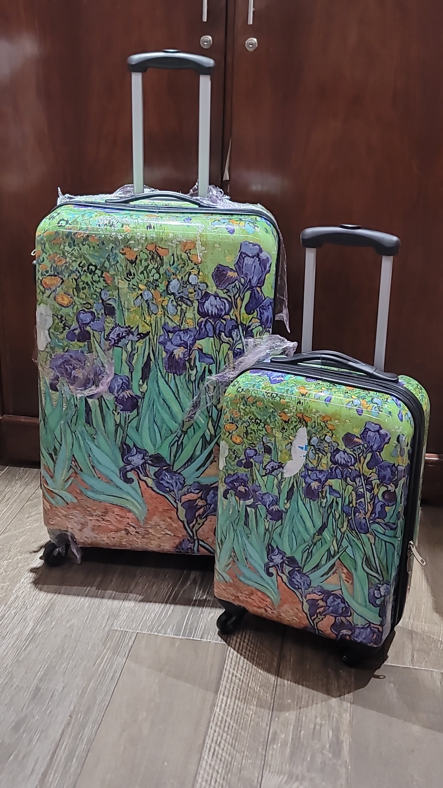 IT luggage set