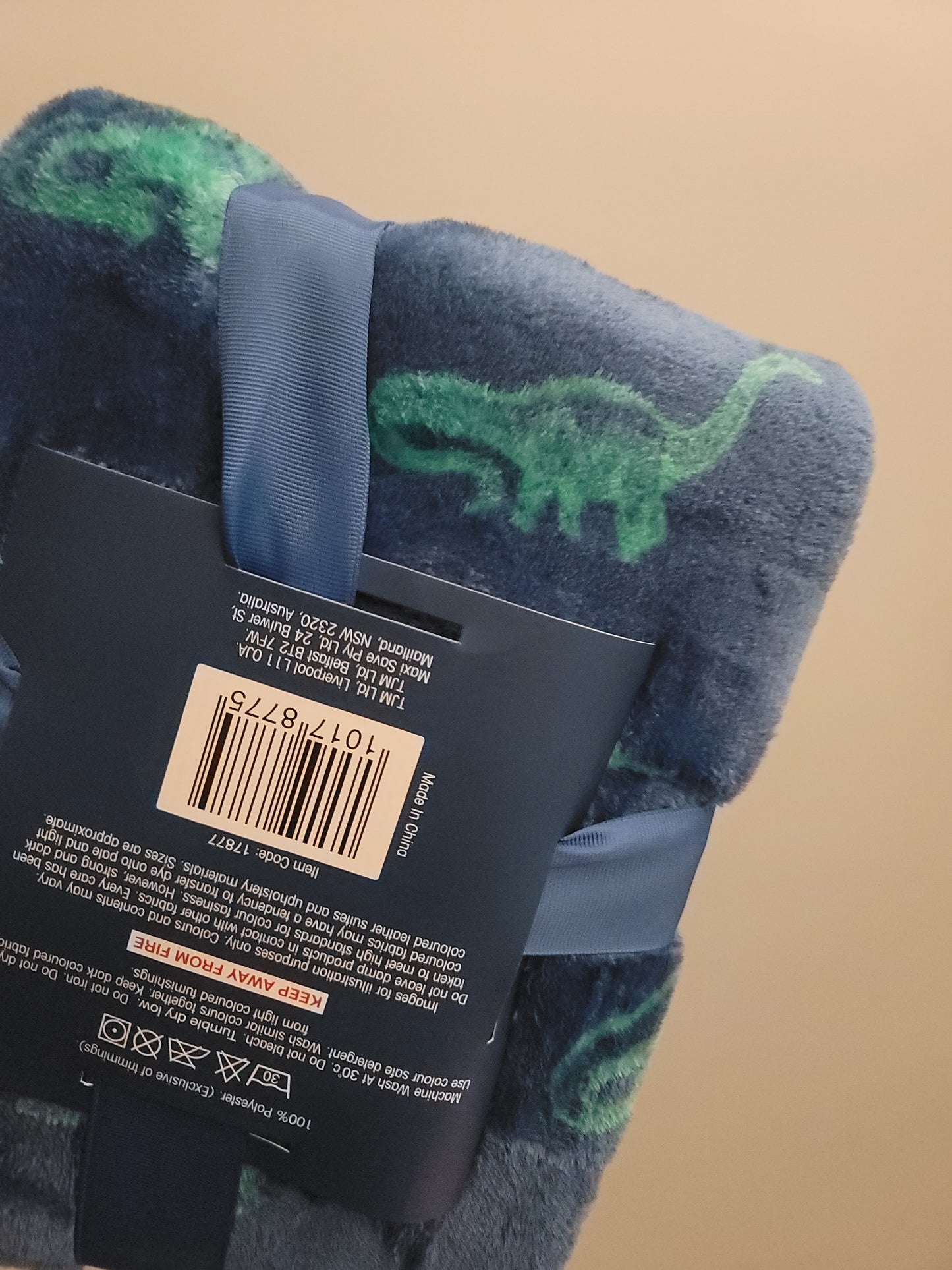 Dino Blanket